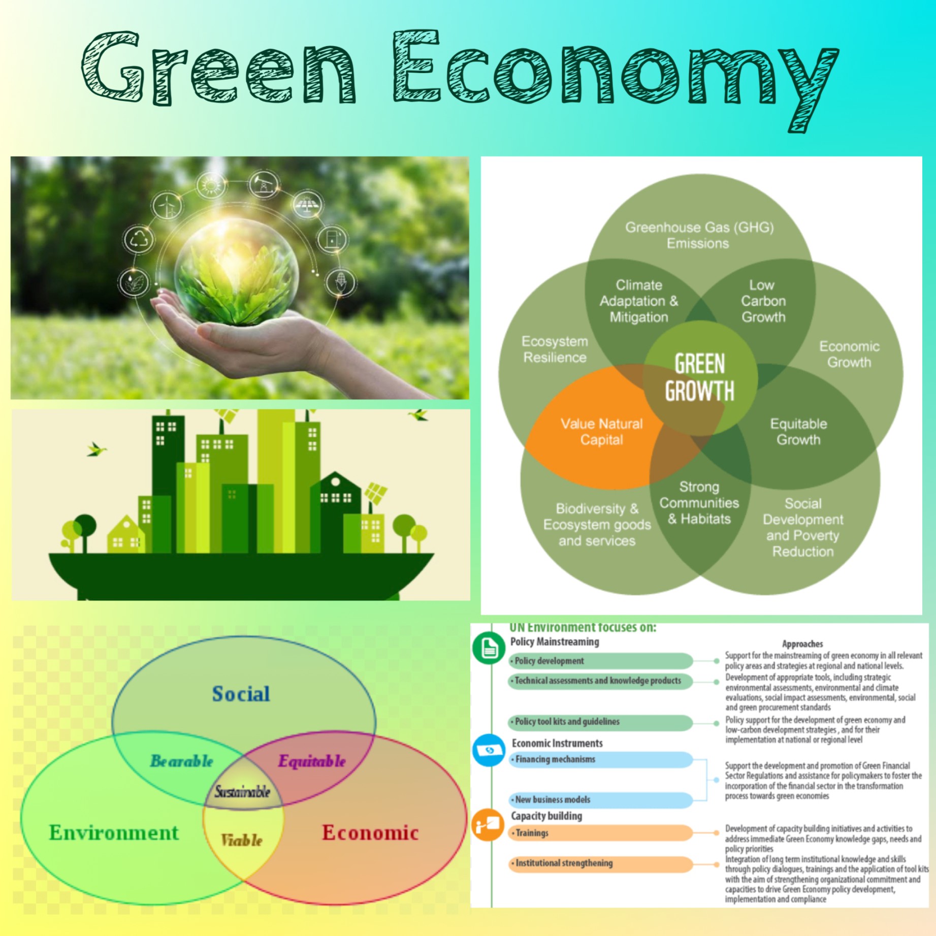 Green Economy (Free Report) - Ambassador report - Our Actions