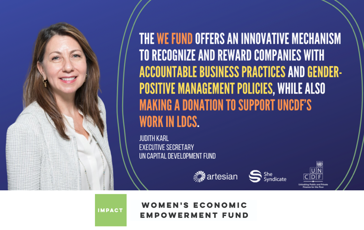 Impact Investment  Women Economic Empowerment Fund  Artesian
